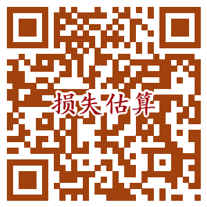 损失估算器